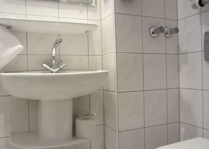 老城区莱茵河景酒店 酒店 2*