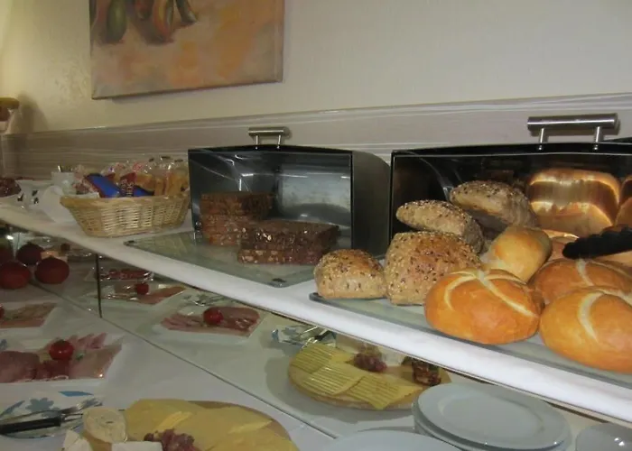 老城区莱茵河景酒店 酒店 杜塞尔多夫